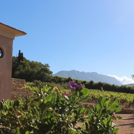La Bastide - Le Grenache - Le Syrah Au Domaine Chateau Henri Bonnaud Le Tholonet Eksteriør bilde