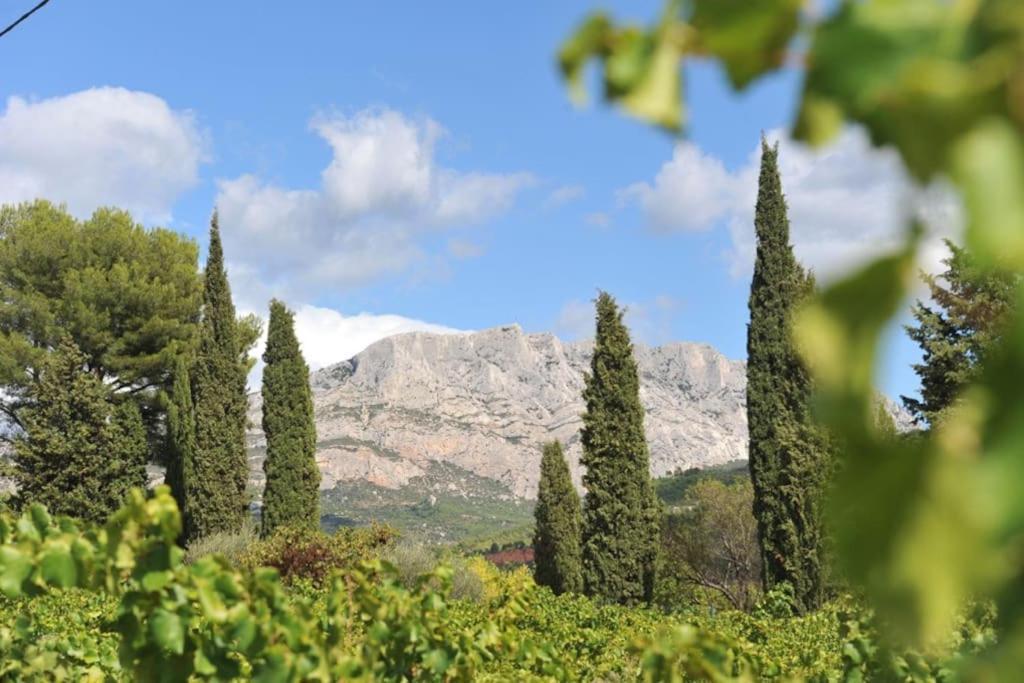 La Bastide - Le Grenache - Le Syrah Au Domaine Chateau Henri Bonnaud Le Tholonet Eksteriør bilde