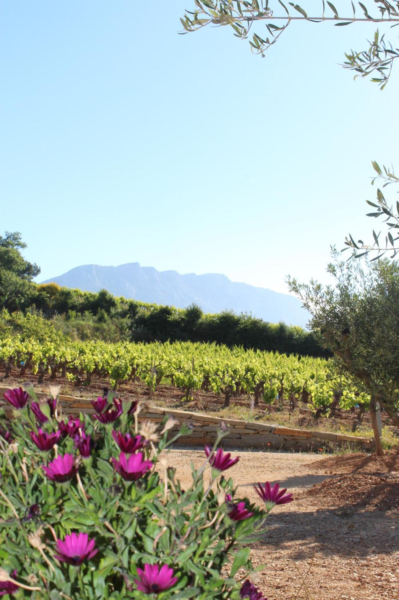 La Bastide - Le Grenache - Le Syrah Au Domaine Chateau Henri Bonnaud Le Tholonet Eksteriør bilde