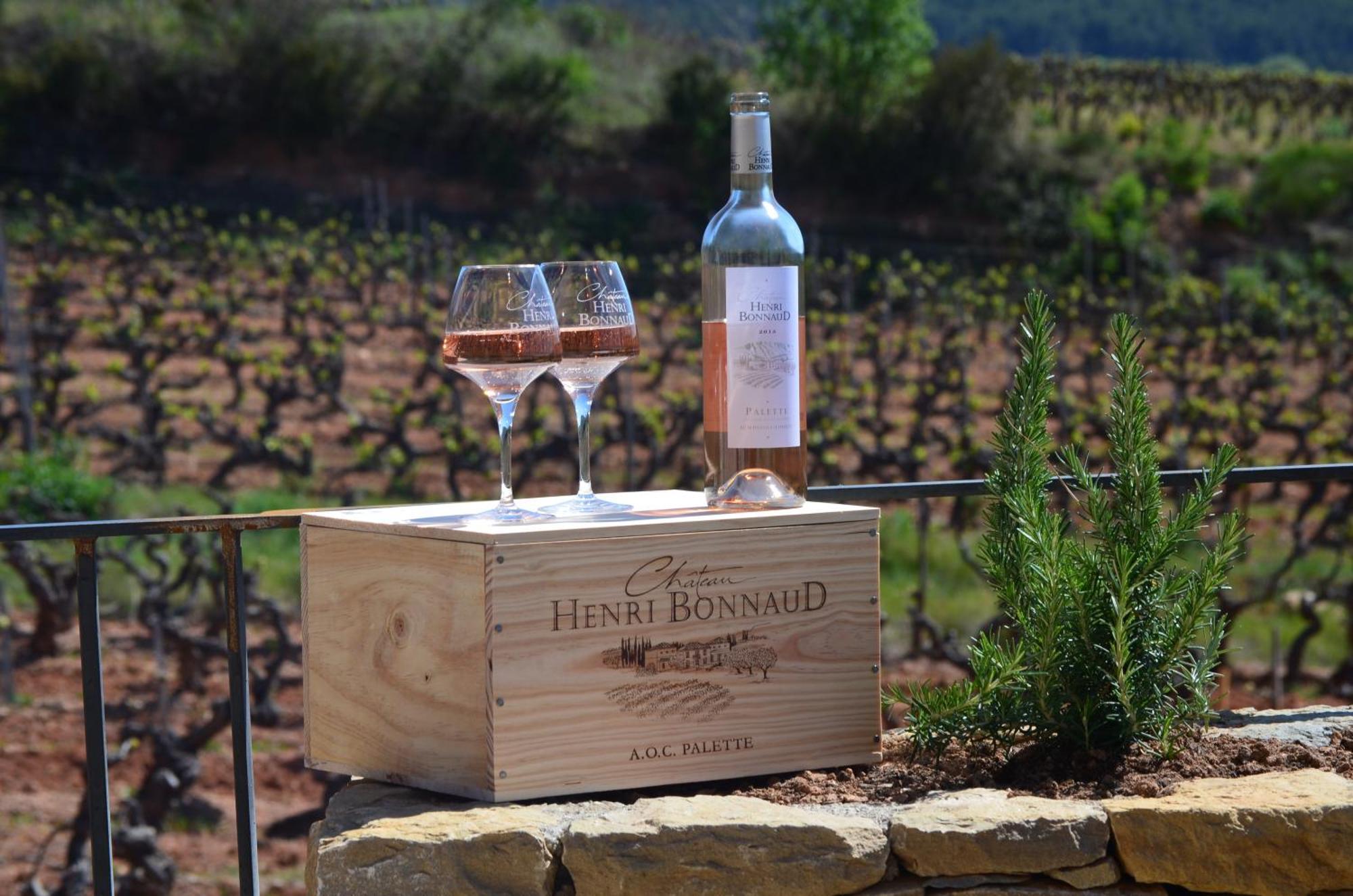 La Bastide - Le Grenache - Le Syrah Au Domaine Chateau Henri Bonnaud Le Tholonet Eksteriør bilde