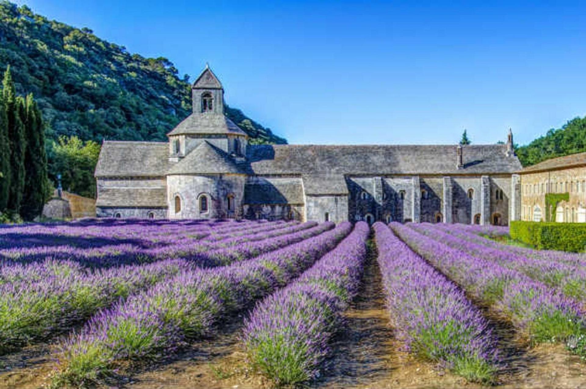 La Bastide - Le Grenache - Le Syrah Au Domaine Chateau Henri Bonnaud Le Tholonet Eksteriør bilde